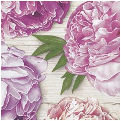 serwetki rozowe piwonie na tle drewna maki 33 cm 20 szt