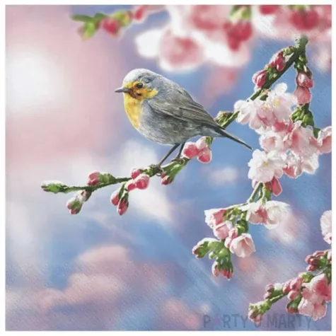 serwetki rudzik na galezi maki 33 cm 20 szt