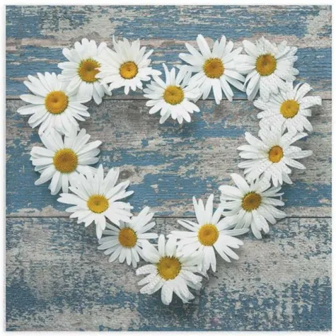 serwetki serce ze stokrotek maki 33 cm 20 szt