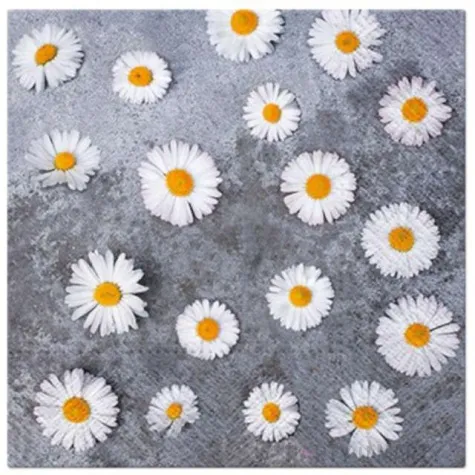 serwetki stokrotki paw 33 cm 20 szt