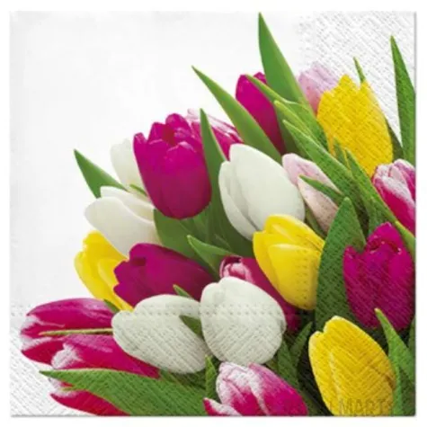 serwetki tulipany kolorowe paw 33 cm 20 szt