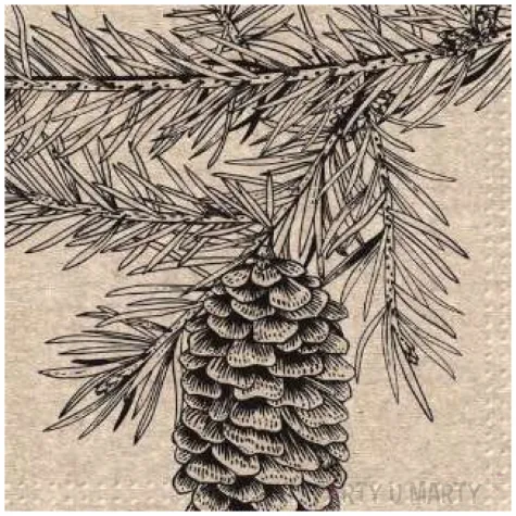 serwetki we care szyszka paw 33 cm 20 szt