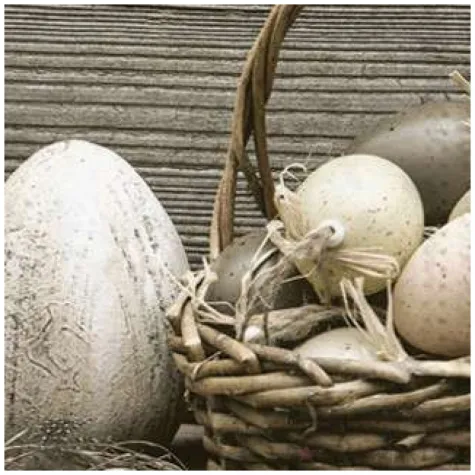 serwetki wielkanoc jajka rustykalne maki 33 cm 20 szt