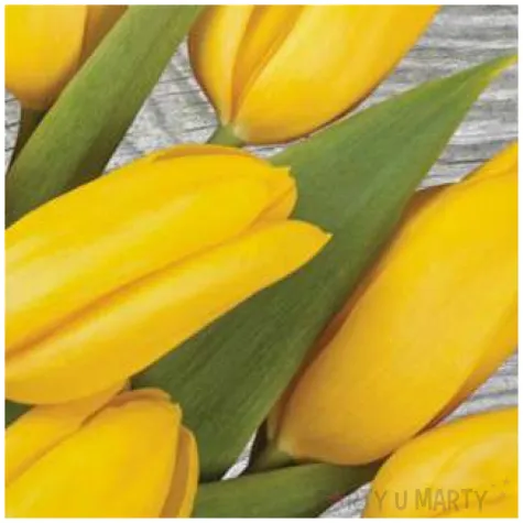 serwetki wielkanoc tulipany na drewnie maki 33 cm 20 szt
