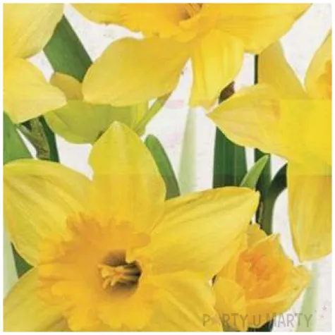 serwetki wielkanoc zolte zonkile maki 33 cm 20 szt