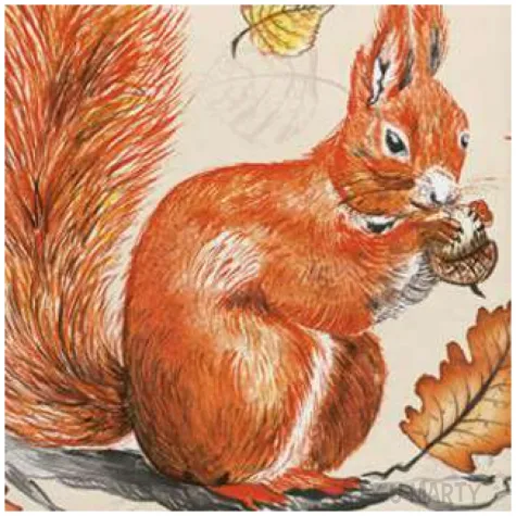 serwetki wiewiorka na galezi maki 33 cm 20 szt