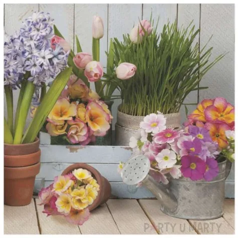 serwetki wiosenne kwiaty w doniczkach maki 33 cm 20 szt