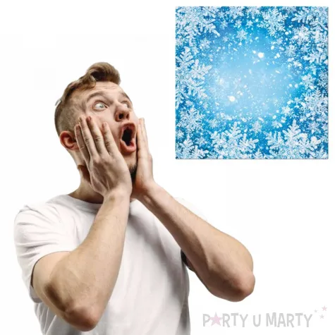 serwetki zasniezone okno niebieskie paw 33 cm 20 szt