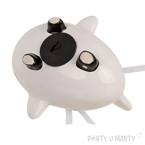 skarbonka samolocik just married out of the blue