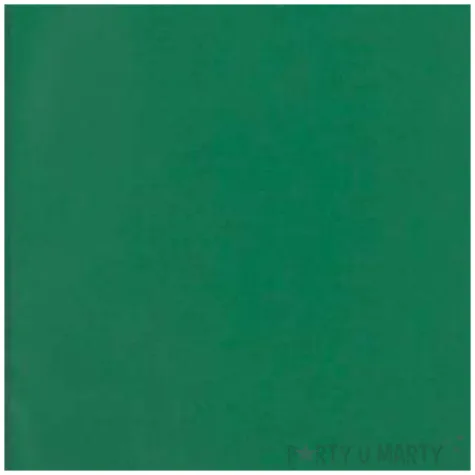 skoroszyt miekki bez perforacji zielony d rect