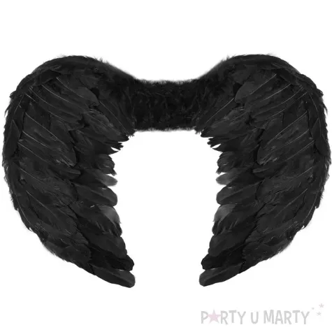 skrzydla aniol ciemnosci czarny partypal 54x37cm