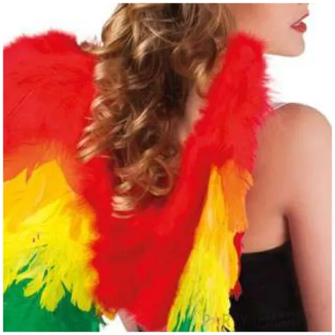 skrzydla aniol deluxe teczowe boland 50 x 50 cm