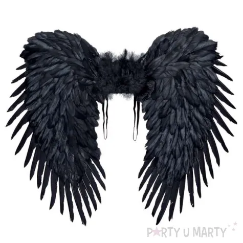 skrzydla upadly aniol czarne widmann 80x65 cm