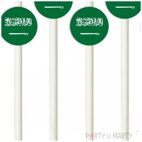 slomki panstwa swiata arabia saudyjska 19 5 cm 6 szt