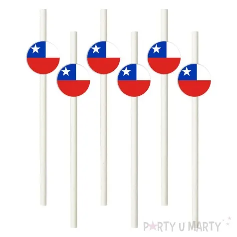 slomki panstwa swiata chile 19 5 cm 6 szt