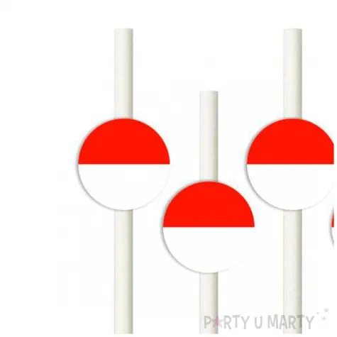 slomki panstwa swiata indonezja 19 5 cm 6 szt