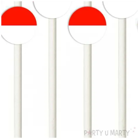 slomki panstwa swiata indonezja 19 5 cm 6 szt