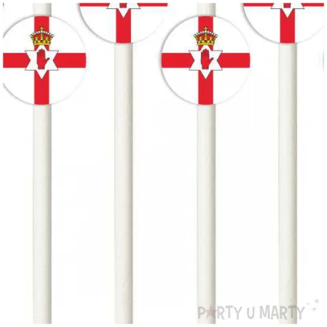 slomki panstwa swiata irlandia polnocna 19 5 cm 6 szt