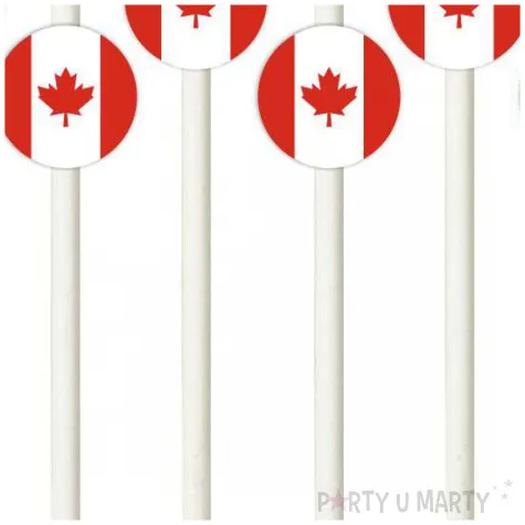 slomki panstwa swiata kanada 19 5 cm 6 szt