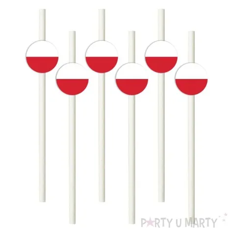 slomki panstwa swiata polska 19 5 cm 6 szt
