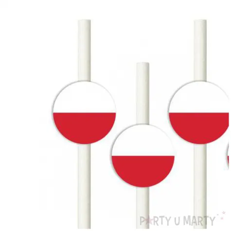 slomki panstwa swiata polska 19 5 cm 6 szt