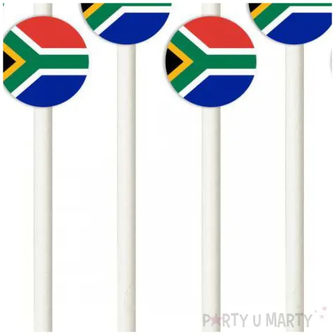 slomki panstwa swiata rpa 19 5 cm 6 szt