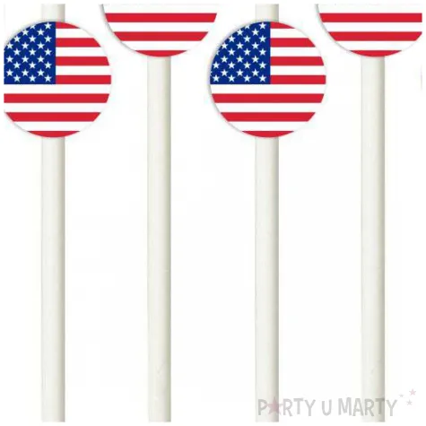 slomki panstwa swiata usa 19 5 cm 6 szt