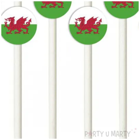 slomki panstwa swiata walia 19 5 cm 6 szt