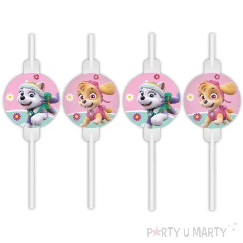slomki papierowe paw patrol skye i everest procos 22 cm 4 szt