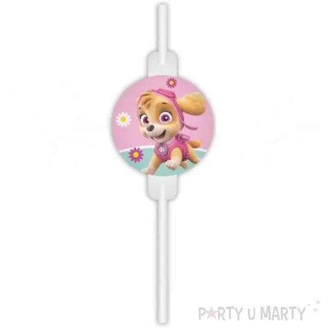slomki papierowe paw patrol skye i everest procos 22 cm 4 szt