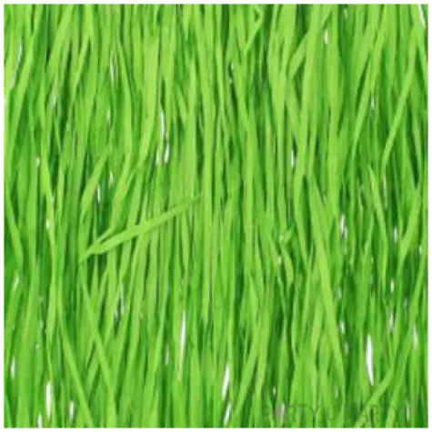 spodnica hawajska zielona godan 40 cm