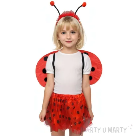 stroj dla dzieci zestaw biedronka kraszek