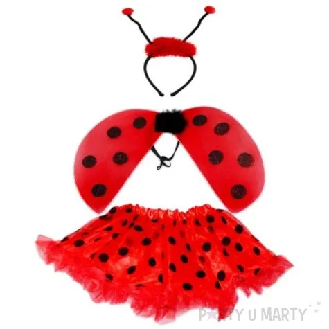 stroj dla dzieci zestaw biedronka kraszek