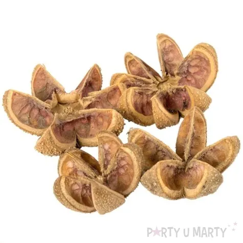 susz dekoracyjny kartush kwiatki naturalne czakos 4 szt