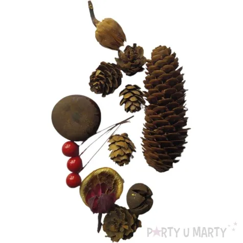 susz dekoracyjny mieszanka swiateczna classic 30g brewis