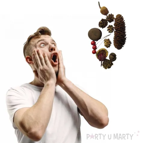 susz dekoracyjny mieszanka swiateczna classic 30g brewis