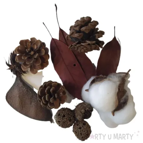 susz dekoracyjny mieszanka swiateczna z baziami 30g brewis