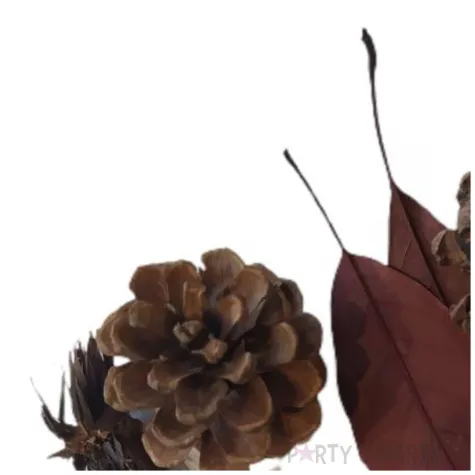 susz dekoracyjny mieszanka swiateczna z baziami 30g brewis