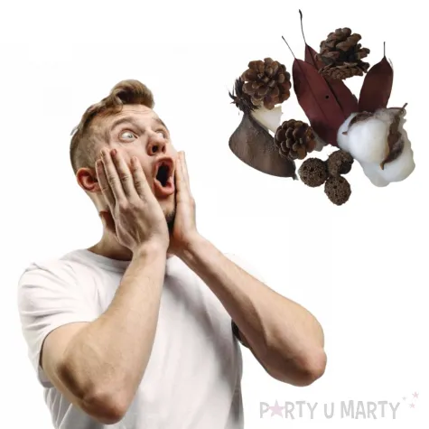 susz dekoracyjny mieszanka swiateczna z baziami 30g brewis