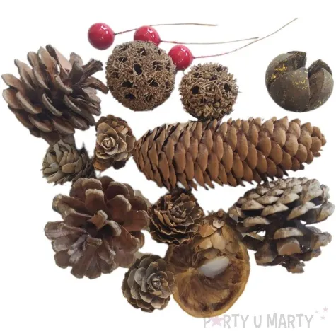 susz dekoracyjny mieszanka swiateczna z owocami ostrokrzewu 30g brewis