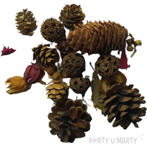 susz dekoracyjny mieszanka swiateczna z syszkami 30g brewis