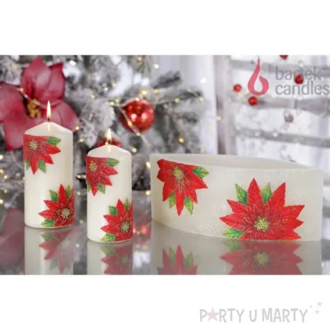 swieca pienkowa christmas flower kwiaty poinsencji czerwona bartek candles 150 70 mm