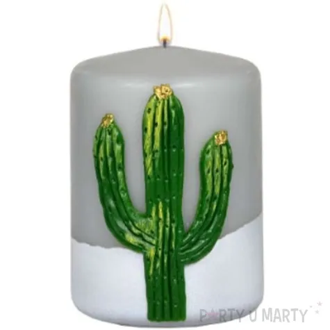 swieca pienkowa kaktus szara adpal 100 70 mm