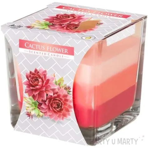 swieca zapachowa w szkle trojbarwna kwiat kaktusa bispol 8x8 cm