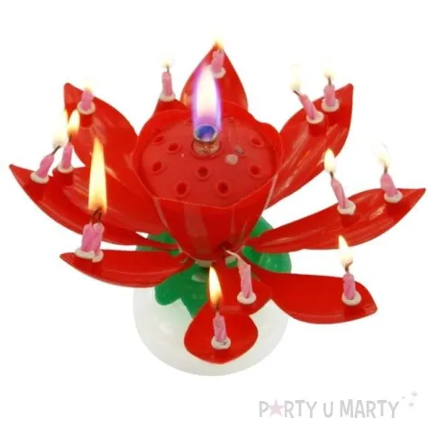 swieczka kwiatek grajacy happy birthday czerwona tamipol