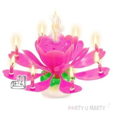 swieczka kwiatek grajacy happy birthday rozowa