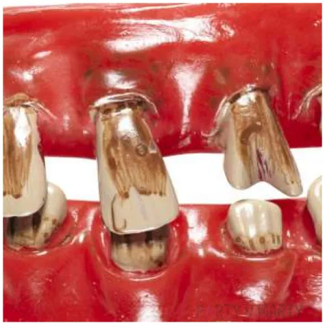 sztuczne zeby szczeka starca brazowe widmann