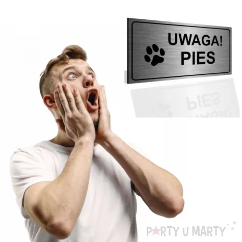 tabliczka informacyjna znak na brame uwaga pies srebrny ostrzezenie 20x10 cm
