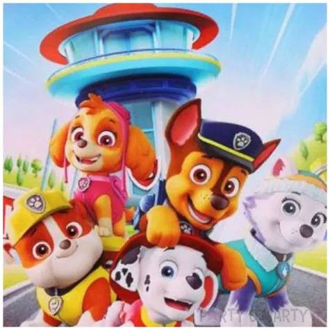 talerzyk plastikowy paw patrol czerwony procos 21 cm