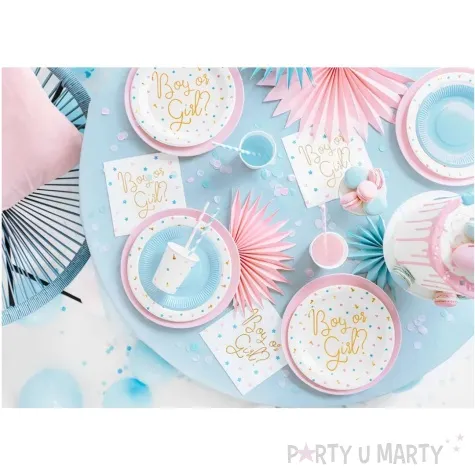 talerzyki papierowe boy or girl gwiazdki i serca bialy partydeco 23 cm 6 szt
